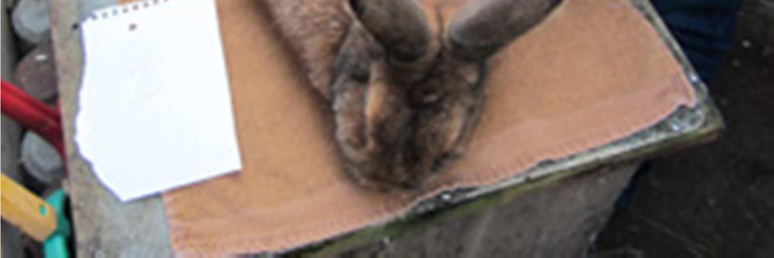 HILFE GESUCHT! 91522 Ansbach (Aufstellung über Hilfsangebote/Kontakte am Ende der Liste) (Organisation im Kaninchenschutzforum, ggf. Kontakt zu Biene auch über kaninchen@ohnemich.