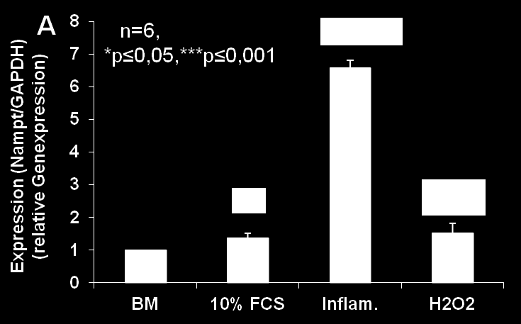 Ergebnisse 0,11 sowie nach 72 h auf 0,61 ± 0,14 (p 0,01) detektiert werden. Unter dem Einfluss des Wachstumsreizes (10 % FCS) sowie des Entzündungsreizes (Inflam.