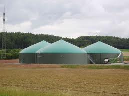 den Betrieb der Einspeiseanlagen Verteilung/Nutzung Die Biogasanlage der BSR wird 2013 von der NBB an das