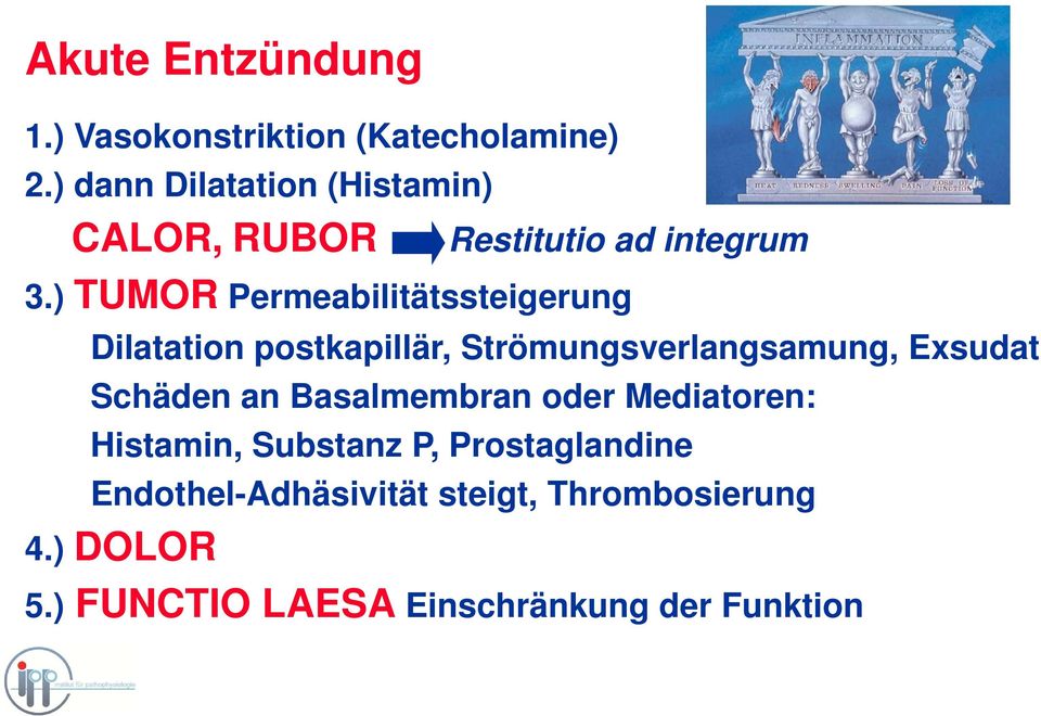 ) TUMOR Permeabilitätssteigerung Dilatation postkapillär, Strömungsverlangsamung, Exsudat Schäden