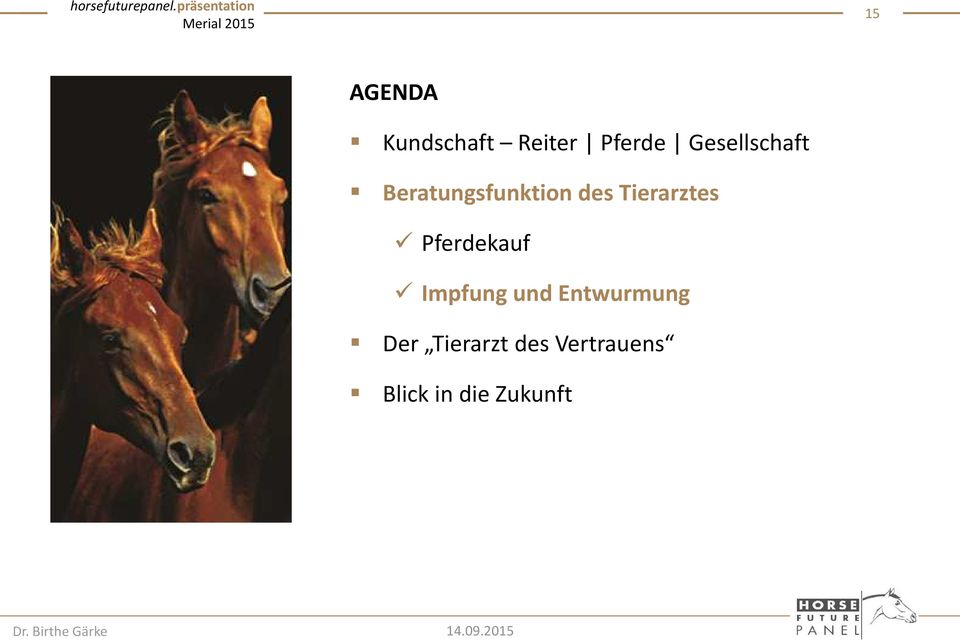 Tierarztes Pferdekauf Impfung und
