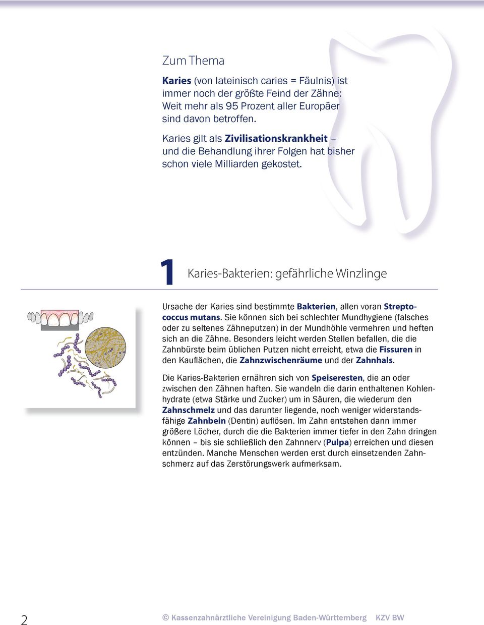 1 Karies-Bakterien: gefährliche Winzlinge Ursache der Karies sind bestimmte Bakterien, allen voran Streptococcus mutans.