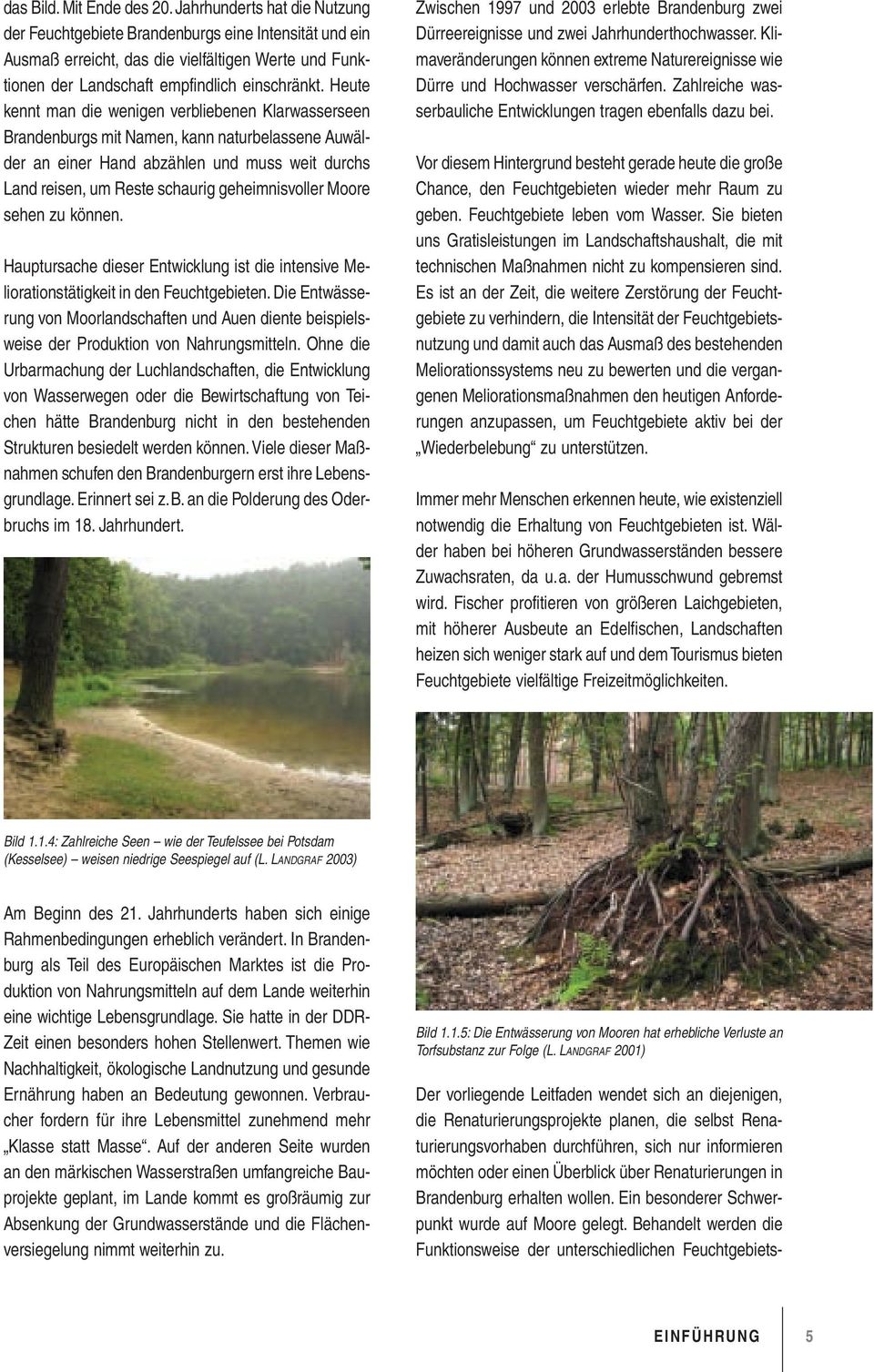 Heute kennt man die wenigen verbliebenen Klarwasserseen Brandenburgs mit Namen, kann naturbelassene Auwälder an einer Hand abzählen und muss weit durchs Land reisen, um Reste schaurig geheimnisvoller