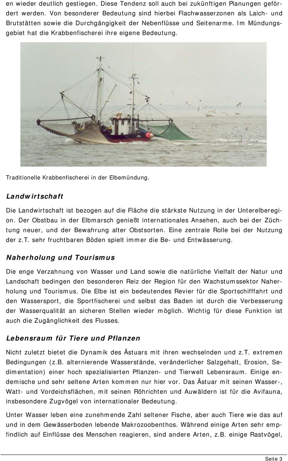 Im Mündungsgebiet hat die Krabbenfischerei ihre eigene Bedeutung. Traditionelle Krabbenfischerei in der Elbemündung.