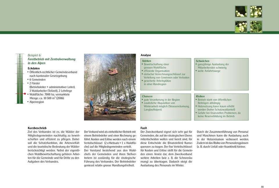 10 500 m 3 (2006) Alpenregion Analyse Stärken Bewirtschaftung einer grossen Waldfläche effiziente Organisation einfacher Verrechnungsschlüssel zur Verteilung von Gewinnen oder Verlusten gesicherte