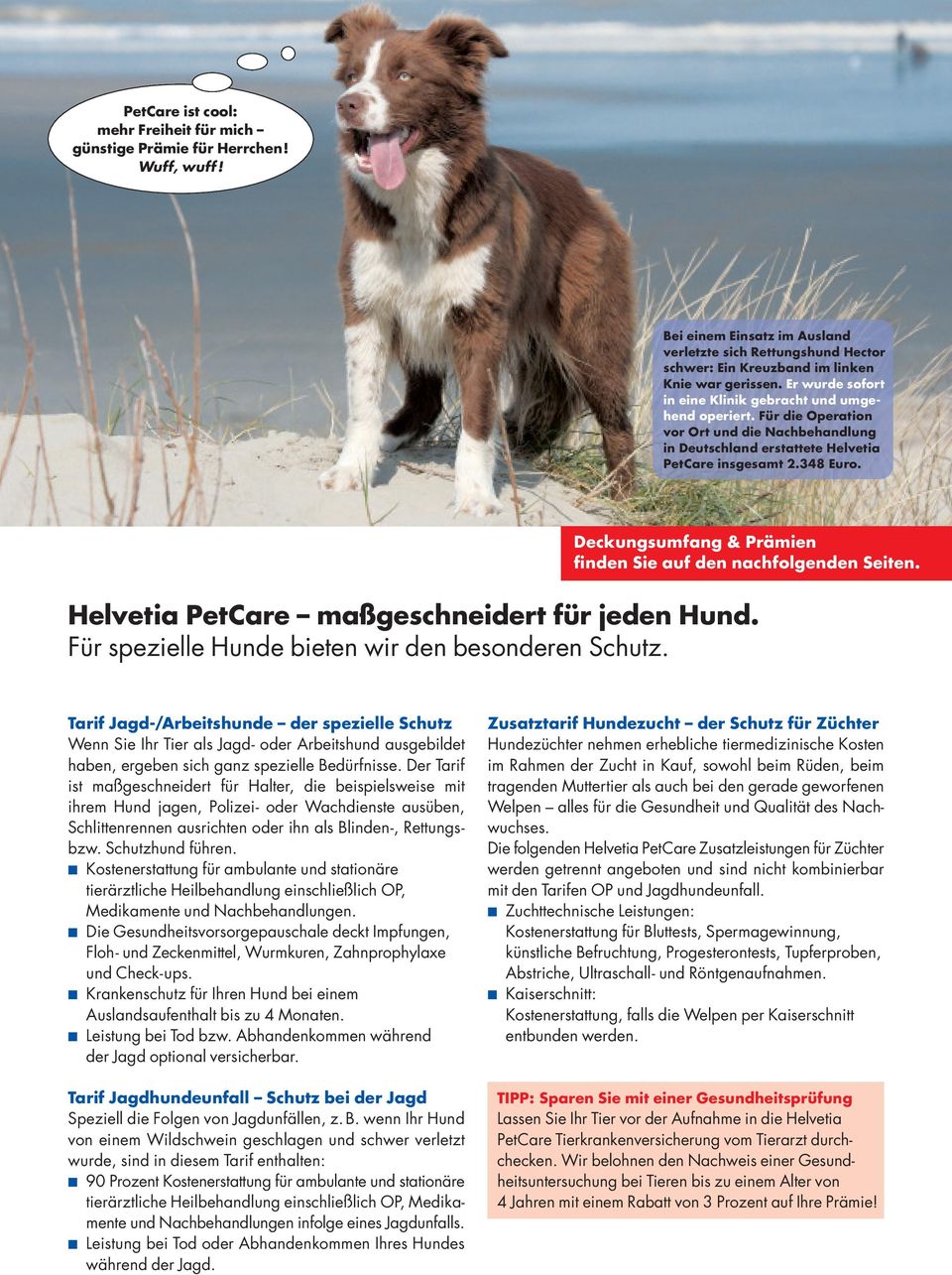 Deckungsumfang & Prämien finden Sie auf den nachfolgenden Seiten. Helvetia PetCare maßgeschneidert für jeden Hund. Für spezielle Hunde bieten wir den besonderen Schutz.