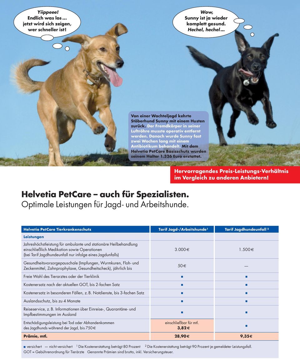 Mit dem Helvetia PetCare Basis schutz wurden seinem Halter 1.326 Euro erstattet. Helvetia PetCare auch für Spezialisten. Optimale Leistungen für Jagd- und Arbeitshunde.