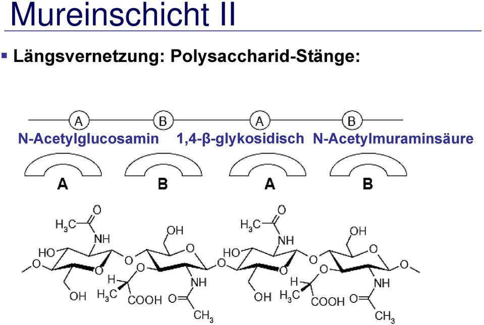 Polysaccharid-Stänge: