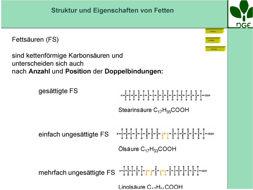 und Position der Doppelbindungen: gesättigte FS Stearinsäure C 17 H