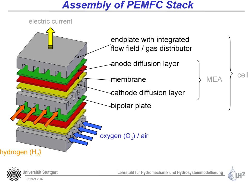 diffusion layer membrane cathode diffusion layer
