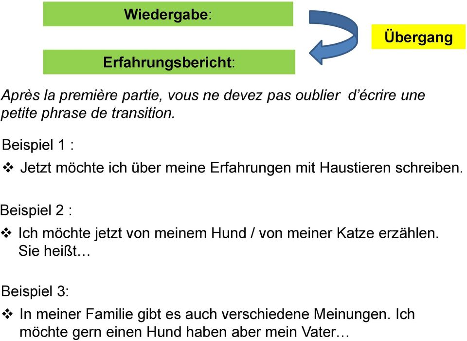 Beispiel 1 : Jetzt möchte ich über meine Erfahrungen mit Haustieren schreiben.