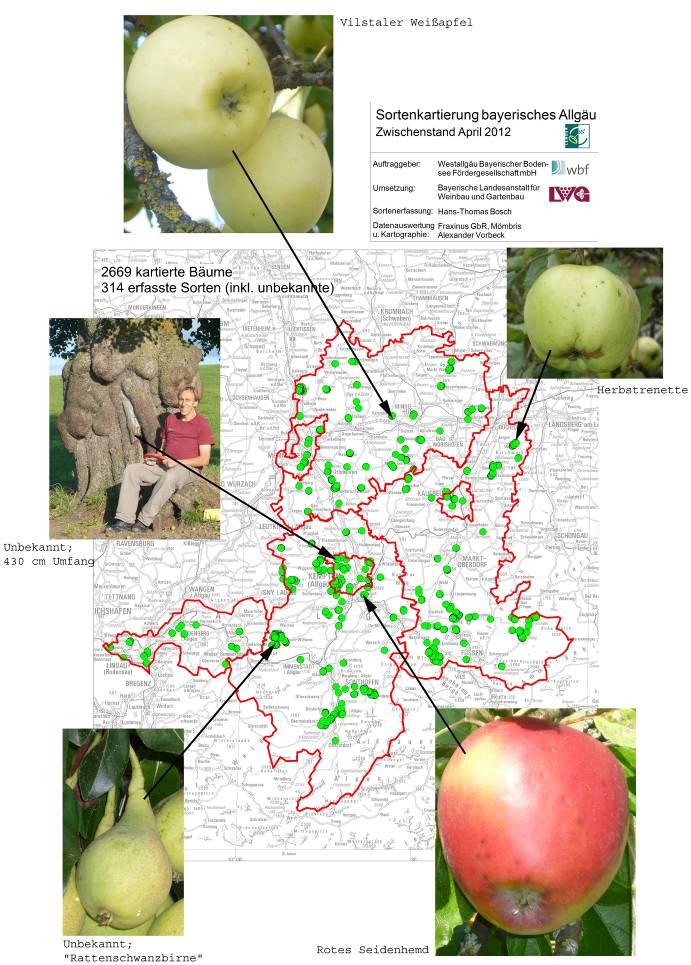Erhaltung und Nutzung alter Kernobstsorten im bayerischen Allgäu und am