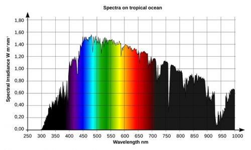 Energieeffizienz Stoßempfindlich LEDs Lichtspektrum individuell auswählbar kein Wärmestrahler gute Energieeffizienz -> noch ausbaufähig Lange