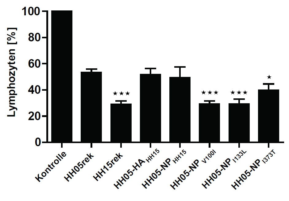 Ergebnisse Mechanismen der einzelnen HH15-spezifischen Mutationen hin, die zu einer erhöhten Pathogenität führen. 4.5.2.