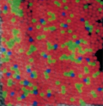 Wiederholung: Menschliche Farbwahrnehmung Farbreiz aus Rot-, Grün- und Blau-Komponenten (RGB) Drei Arten von Zapfen auf Netzhaut Farbwahrnehmung Andere Farbräume zur Berücksichtigung der weiteren