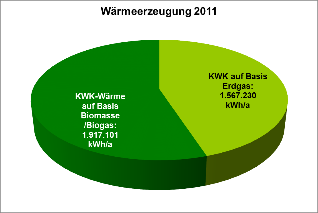 Zwischenergebnisse Bestandsanalyse Bisher erfasste Strom und Wärmeerzeugung in Kraft-Wärme-Kopplung (ohne Biomasse Zolling GmbH) Seit 2001 97 Biomasse-Heizanlagen gefördert nach BAFA (< 100 kwth)