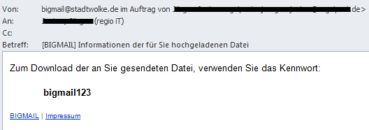 3. Benachrichtigung der/des Empfänger(s) durch bigmail In dem folgenden Beispiel erhält der Empfänger eine E-Mail über die Bereitstellung einer kennwortgeschützten Datei: Der Empfänger erhält eine