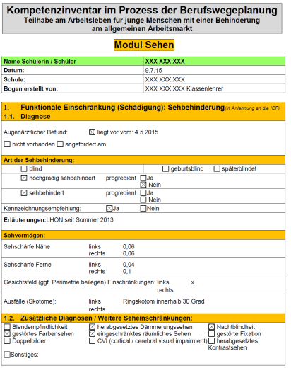 Im Verlauf der Berufswegeplanung Ergänzungsmodul(e) Die Schule füllt das für den Einzelfall relevante Modul (ggf.