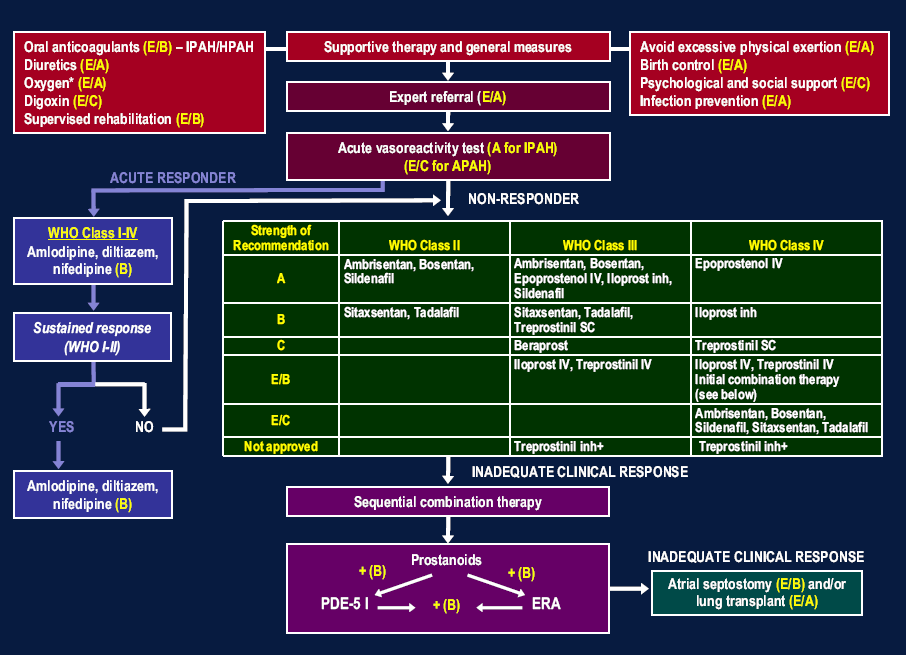 Abbildung 8: Therapiealgorhythmus,