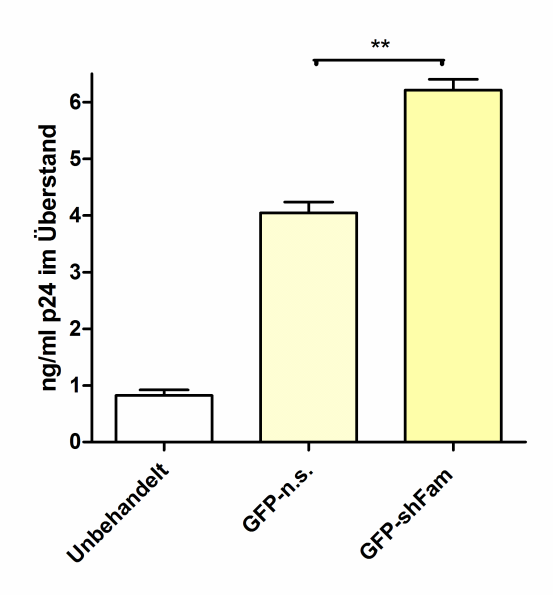 Ergebnisse Nachweis der Überexpression von 16.4.1-GFP in TH4-7-5 Zellen.