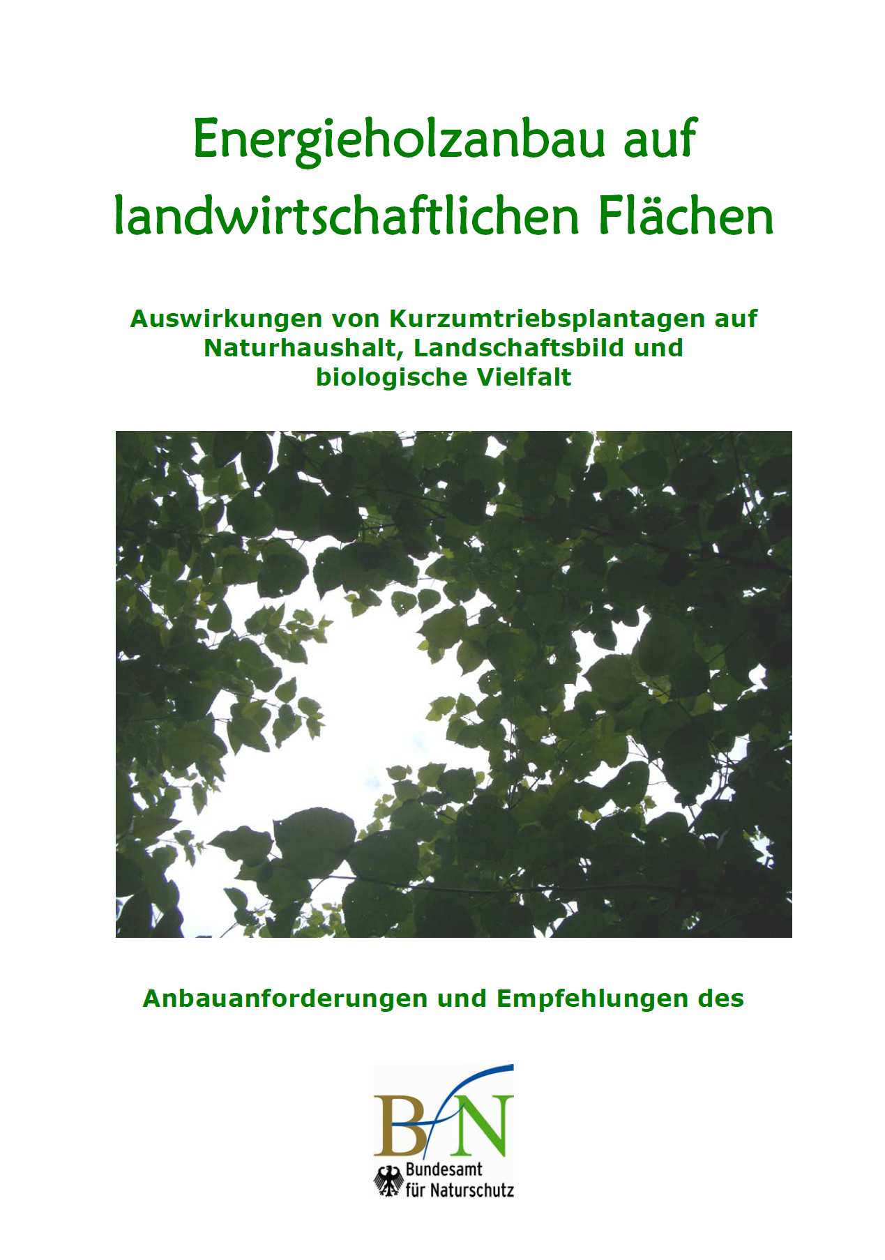 Kathrin Ammermann FGL in Erneuerbare Energien / Berg- und Bodenabbau Bundesamt für