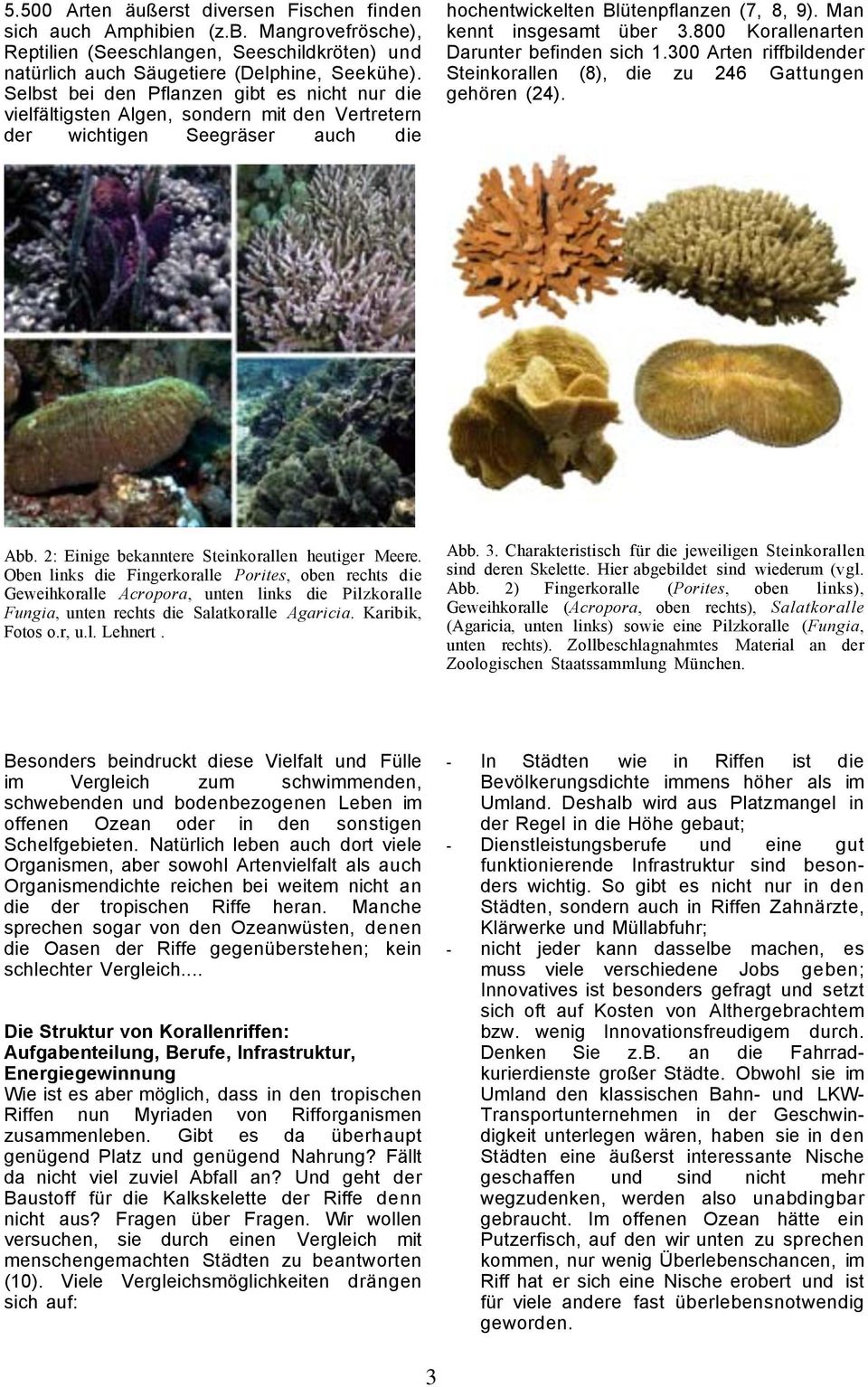 800 Korallenarten Darunter befinden sich 1.300 Arten riffbildender Steinkorallen (8), die zu 246 Gattungen gehören (24). Abb. 2: Einige bekanntere Steinkorallen heutiger Meere.