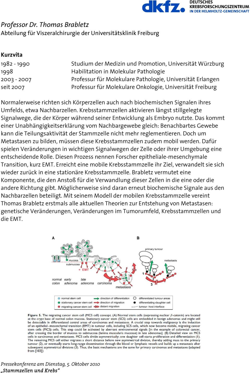 2003-2007 Professur für Molekulare Pathologie, Universität Erlangen seit 2007 Professur für Molekulare Onkologie, Universität Freiburg Normalerweise richten sich Körperzellen auch nach biochemischen