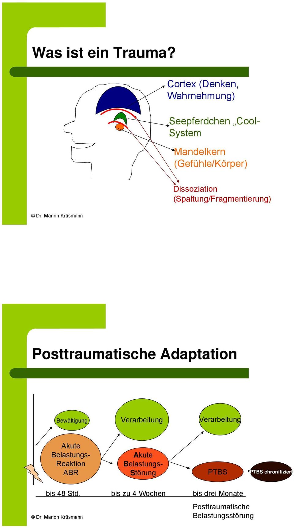 Dissoziation (Spaltung/Fragmentierung) Posttraumatische Adaptation Bewältigung Verarbeitung