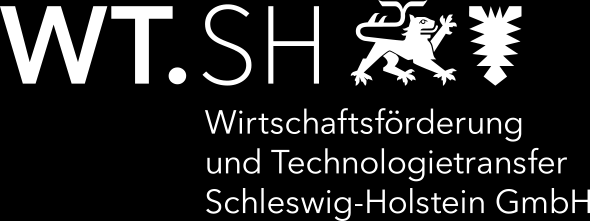 Aktuelle Rahmenbedingungen der Elektromobilität in Schleswig-Holstein