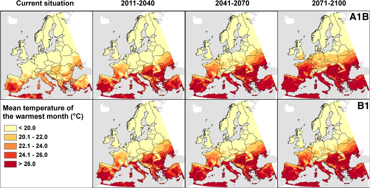 Temperaturanforderungen für die Etablierung des Chikungunya virus in Europa.