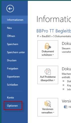 1.11 Steuerelemente Mit den Steuerelement-Feldern können Sie Dokumentinhalte nach dem Exportieren aus BauBit komplettieren, in dem Sie Auswahllisten, Datumsfeldern,