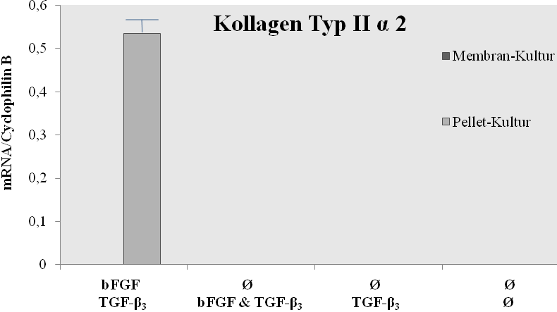 wurden. Vorstimulation Differenzierung Abb. 18: Relative Quantifizierung von COL2A1 auf mrna-ebene mittels Real-Time PCR Die Expression von COL2A1 wurde auf die Expression von Cyclophilin B bezogen.