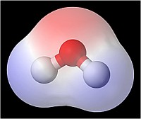 Molekulare Struktur von flüssigem Wasser Kleinster Grundbaustein: Wasser-Tetramer (4 Grundeinheiten) Positiv geladener Teil des