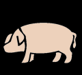 Deutsche Fleischexporte Deutsche Schweinefleischexporte: Jan-Aug 2012: 1,83 Mio t Produktgewicht 2,3
