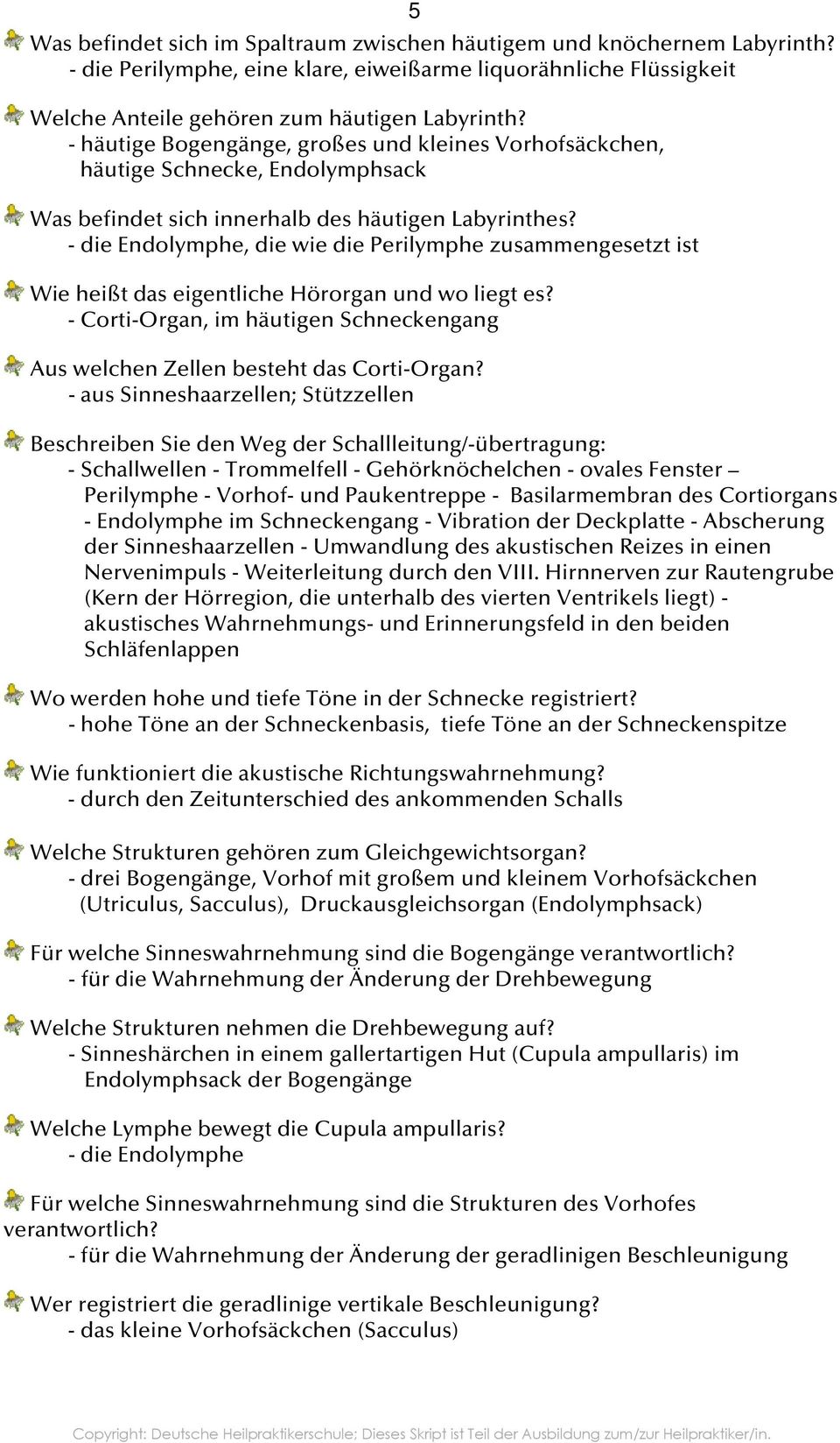 - die Endolymphe, die wie die Perilymphe zusammengesetzt ist Wie heißt das eigentliche Hörorgan und wo liegt es? - Corti-Organ, im häutigen Schneckengang Aus welchen Zellen besteht das Corti-Organ?