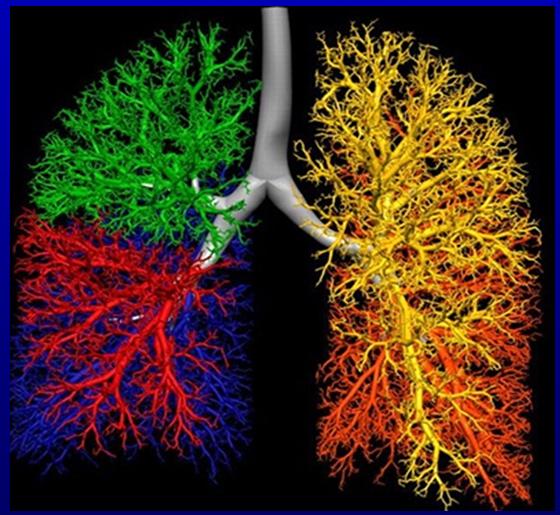 Neue Lungenfunktionstechniken vom Labor in die