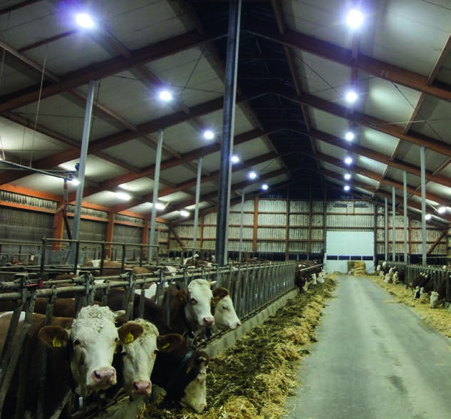 »Kuhkomfort und Leistung hängen direkt zusammen.«wir bewirtschaften einen Milchviehbetrieb mit 60 Milchkühen im Anbindestall.