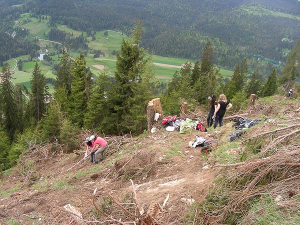 S1B Klassenlager in Trin Bergwaldprojekt Im Mai ging die Klasse 1B/C zusammen ins Klassenlager nach Trin im Kanton Graubünden. Die Klasse arbeitete beim Bergwaldprojekt mit.