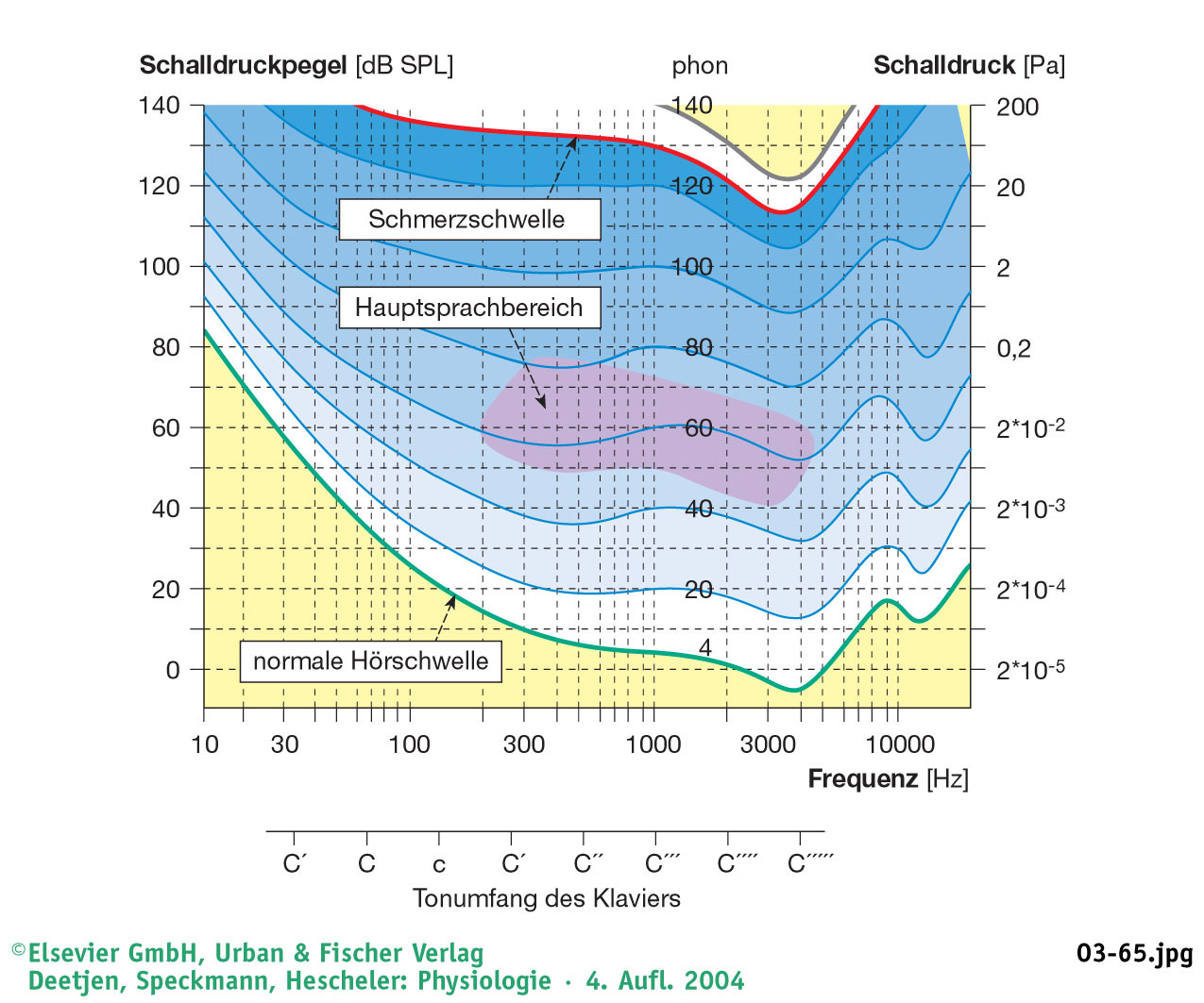 Hörbereich des menschlichen Ohres Es gilt: Schalldruckpegel(dB)=10*log(I/I 0 ) Absolutmaßstab: I 0 ist für alle Frequenzen die Normalschwellenintensität von 1000Hz Relativmaßstab: I 0 ist