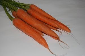Meerrettich ist sehr scharf für den Kaninchen-Magen. Scharfe Gemüse können in sehr geringen Mengen gelegentlich angeboten werden, sofern man seine Kaninchen abwechslungsreich füttert.