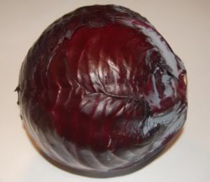Rote Beete hat einen hohen Oxalsäuregehalt und sollte deshalb immer in einer Mischung mit anderen Gemüse gereicht werden. Durch Rote Beete kann der Urin rot verfärbt werden (unbedenklich).