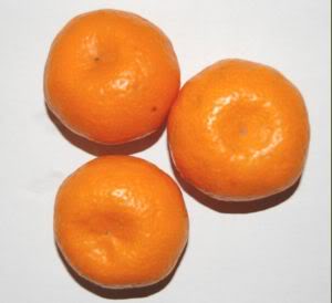Mandarinen sollten aufgrund des hohen Fruchtsäuregehaltes selten in kleinen Mengen gereicht werden. Mango Mango (ohne Schale und Kerne) wird sehr gut vertragen und sehr gerne gefressen.