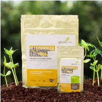 Tyroler Glückspilze Mykorrhiza Mykorrhiza-Produkte für zuhause als Granulat, Pulver für Flüssiglösung