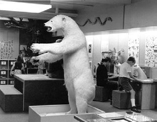 Mark Dion: Polar Bear (Ursus Maritimus), Carnegie