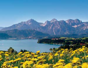 Allgäu/Tirol/Ammergauer Alpen/Blaues Land im KönigsCard-Land Radeln Sie auf beschilderten Rad routen oder wandern zu den Naturhighlights, tauchen Sie ein ins frische Nass der Seen oder Freibäder,