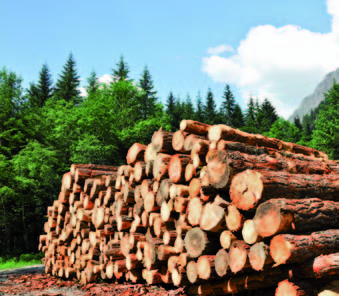 PFERD-Werkzeuge für die Forstwirtschaft Der Wald als Wirtschaftsfaktor Die Arbeit im Forst Waldbesitzer und Forstwirte haben schon früh die Bedeutung des Waldes für Gesellschaft, Umwelt und