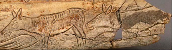 Knochengravur in der Chaffaud-Höhle (Savigné, Vienne), (Archiv StoneWatch) Das Paradies der quartären europäischen Kleinkunst liegt in Frankreichs zentralen und südlichen Provinzen.