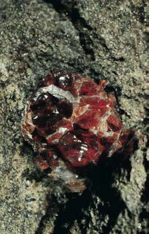 Granate geo-life Almandin