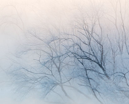 vista Weiße Nebelschwaden, durch