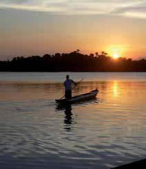 Abendstimmung im Amazonas-Gebiet Kapuzineraffe chen Einblick in den Alltag der Menschen im Amazonas-Regenwald. Genießen Sie Ihren Abend an Bord unter dem unvergleichlichen Sternenhimmel Amazoniens.